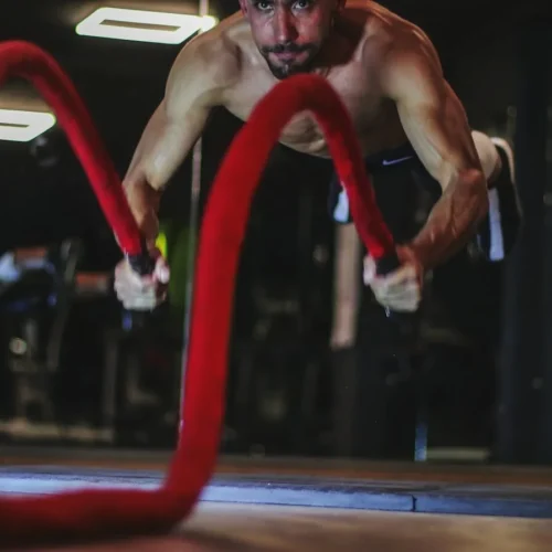 Photo by mob alizadeh