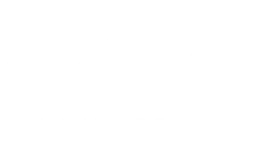 Lionel global university logo light